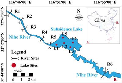 Seasonal succession of microbial community co-occurrence patterns and community assembly mechanism in coal mining subsidence lakes